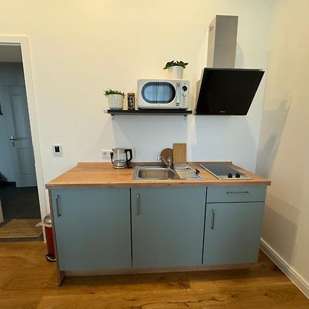 Boutique Hotel Pension Luisengruen Kueche 1Gbs Wlan Netflix Disney Magentatv Chemnitz Buitenkant foto