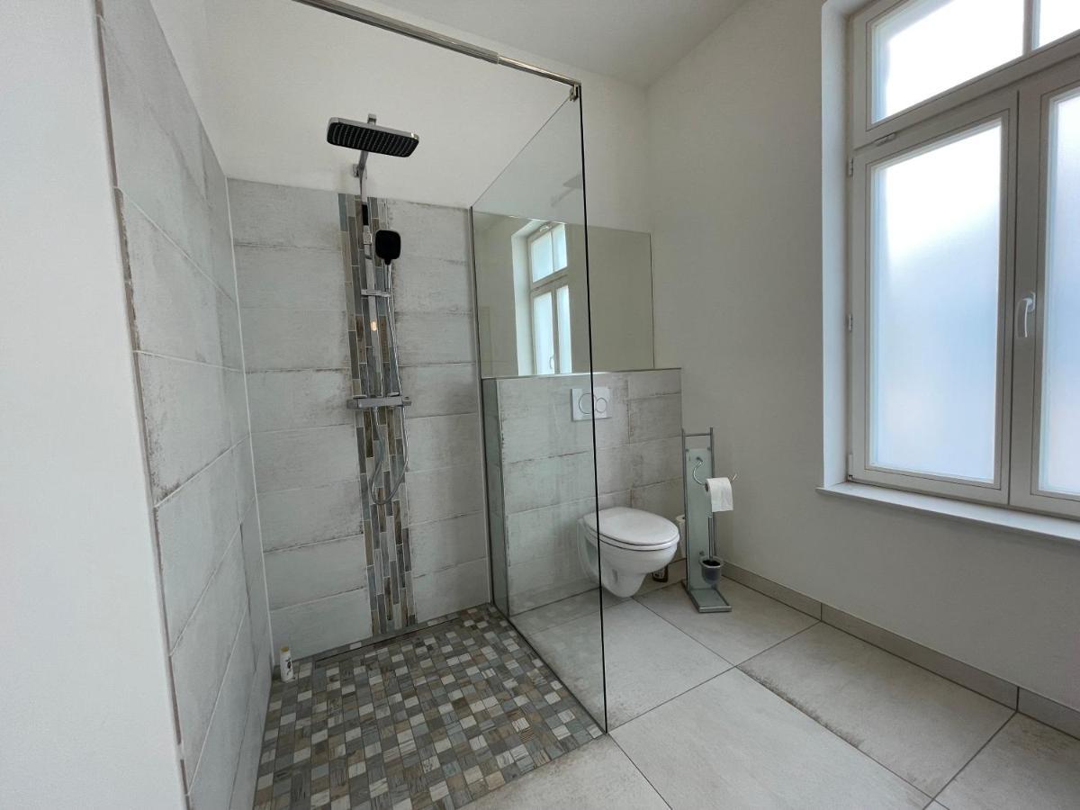 Boutique Hotel Pension Luisengruen Kueche 1Gbs Wlan Netflix Disney Magentatv Chemnitz Buitenkant foto